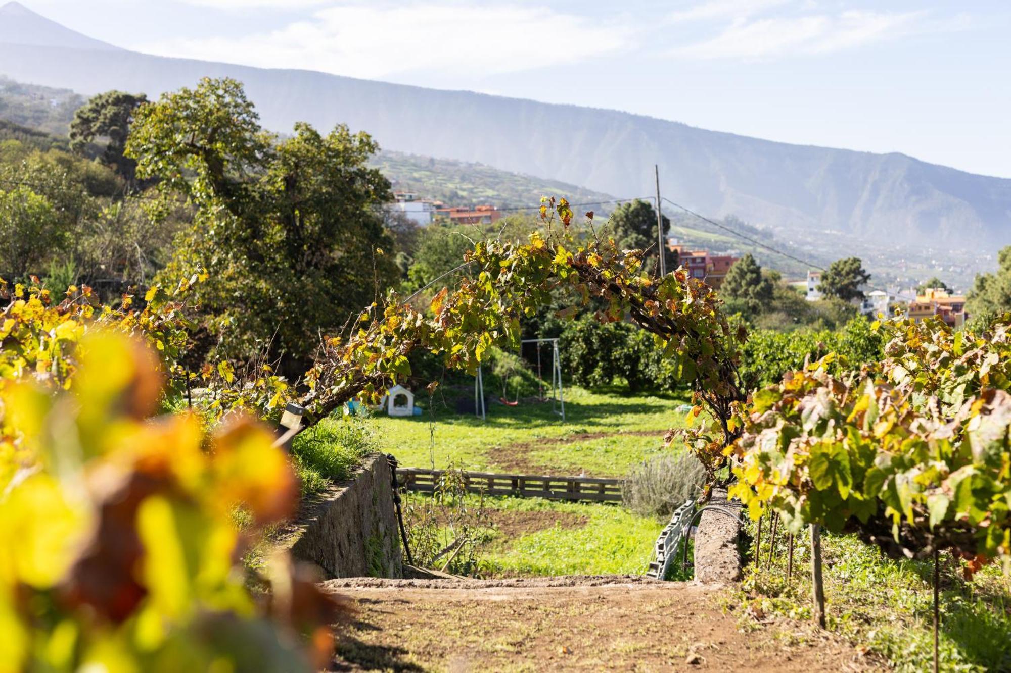 Ek Drago Finca El Milagro Ля Оротава Экстерьер фото