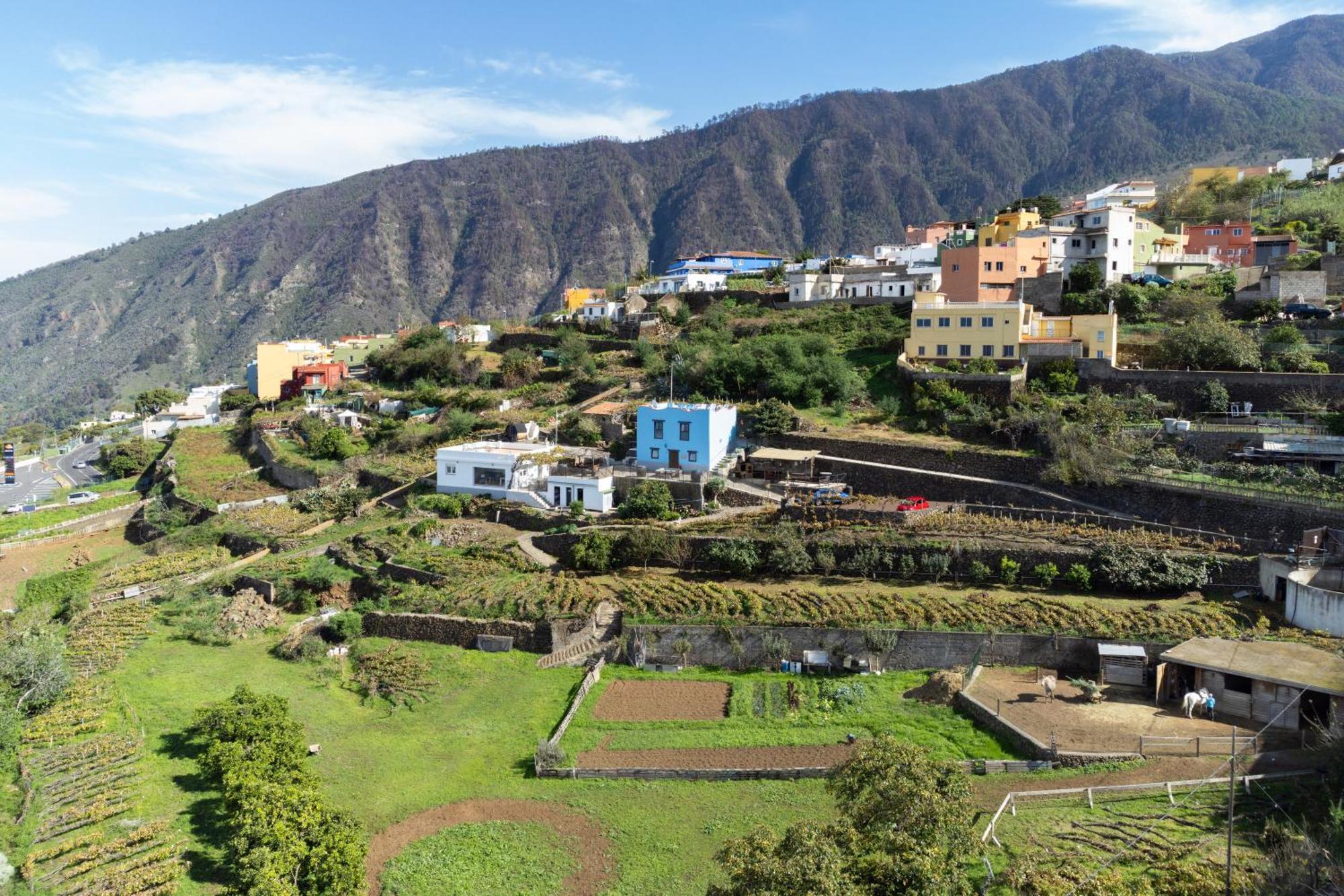 Ek Drago Finca El Milagro Ля Оротава Экстерьер фото